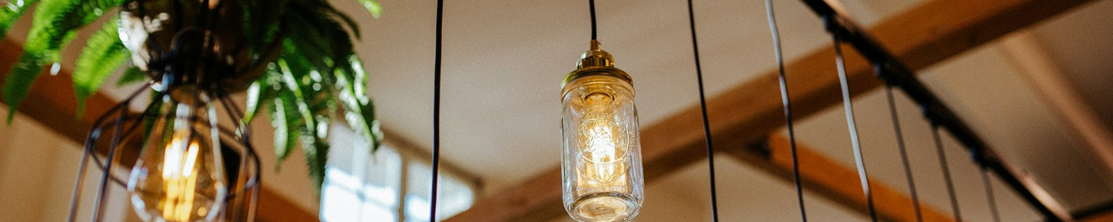 Mehrere dekorative Glühbirnen und hängende Pflanzen an der Decke eines modernen Raums.
